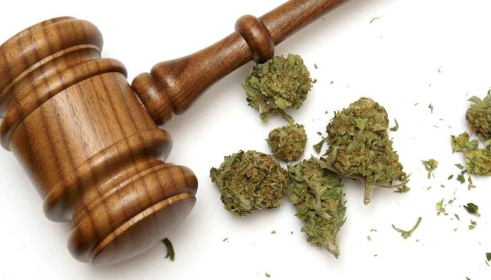 Judge hammer and drug crimes bail bonds